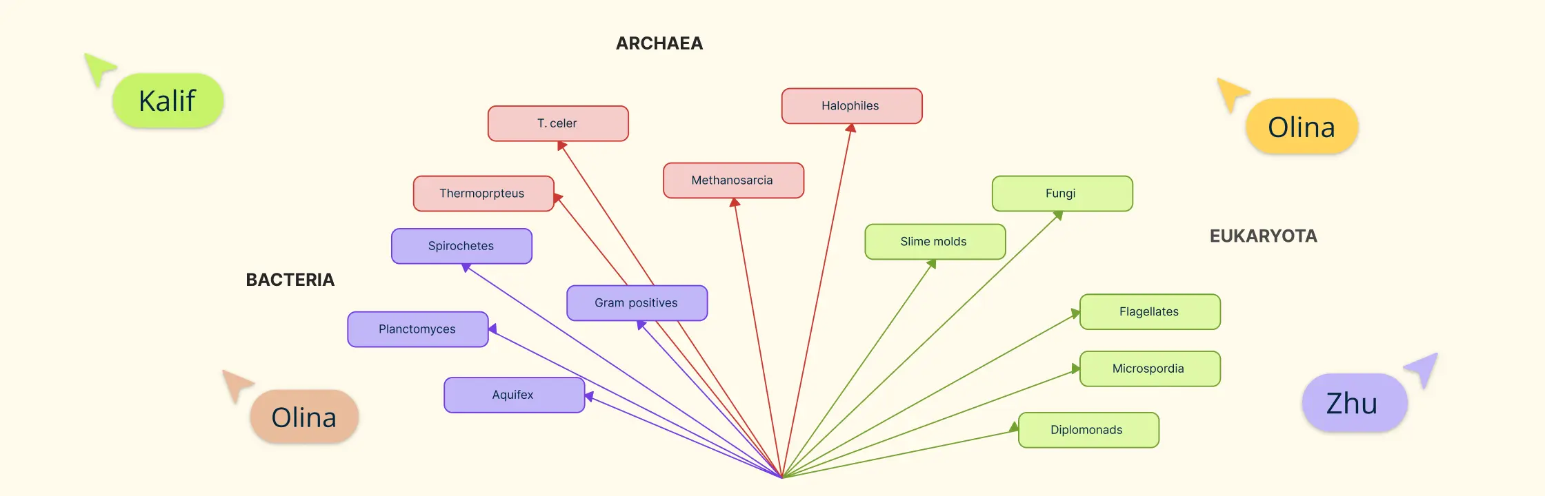 Phylogenetic Trees: Your Guide to Evolutionary Visual Diagrams