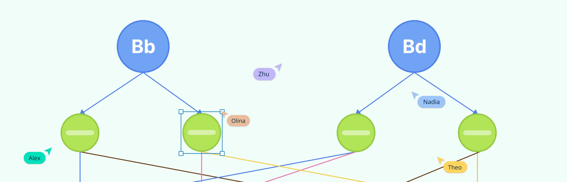 What Is a Genetic Diagram and How to Draw One