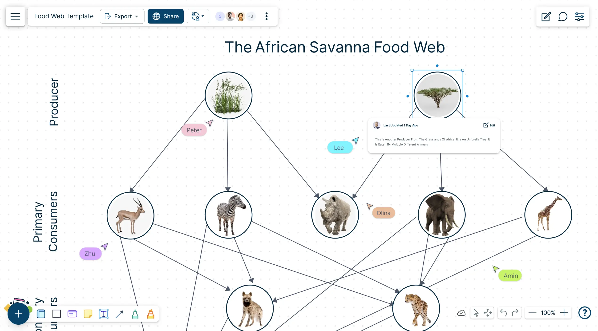 Food Web Maker | Food Web Diagram Templates