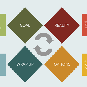 GROW Model
