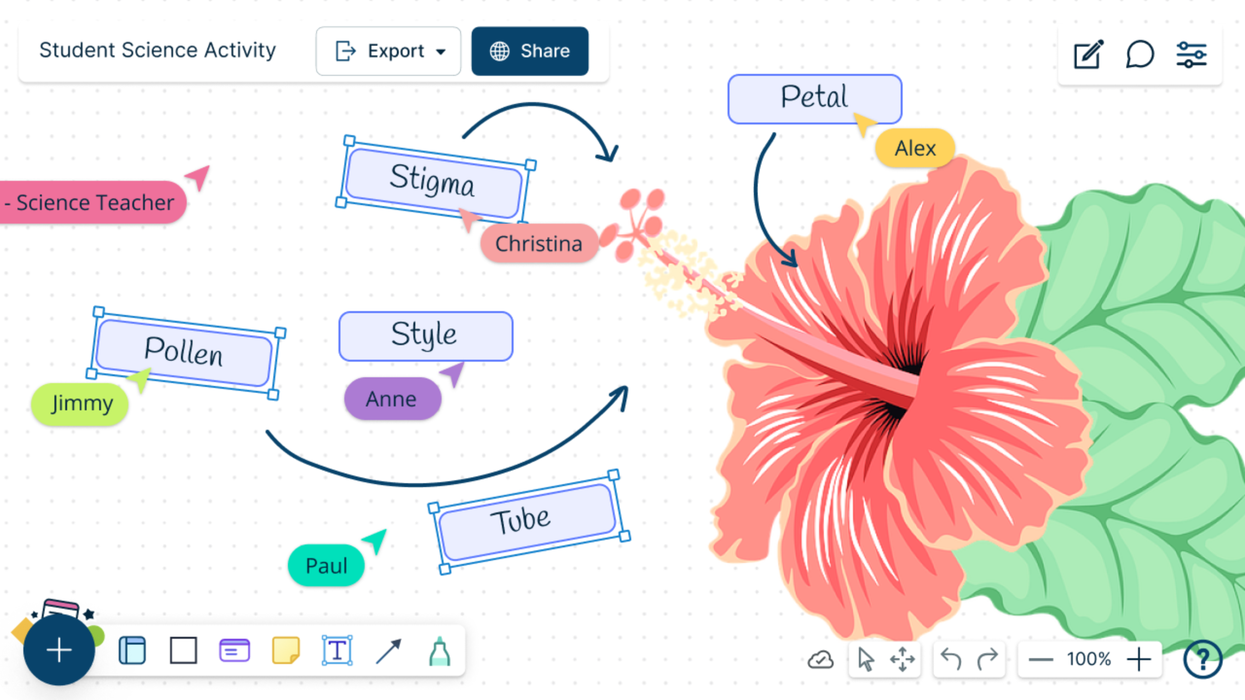 Virtual Classroom Software